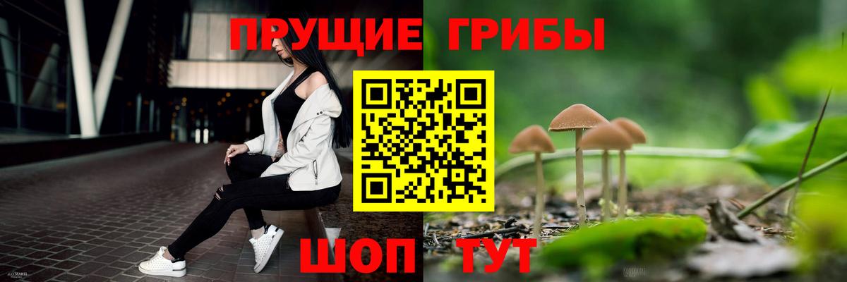 Знаменск  Псилоцибиновые грибы MAGIC MUSHROOMS  Вход с VPN 